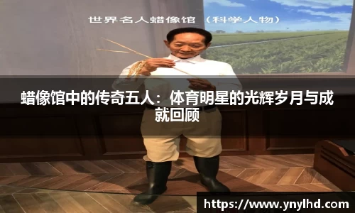 jn江南体育