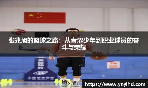 张兆旭的篮球之路：从青涩少年到职业球员的奋斗与荣耀