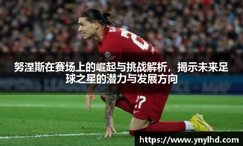 努涅斯在赛场上的崛起与挑战解析，揭示未来足球之星的潜力与发展方向